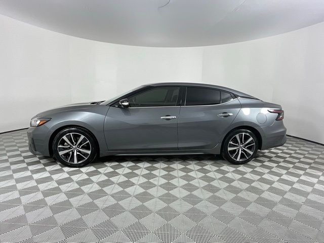 2019 Nissan Maxima SV