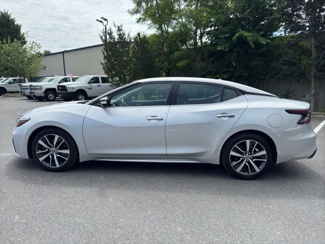 2019 Nissan Maxima SV