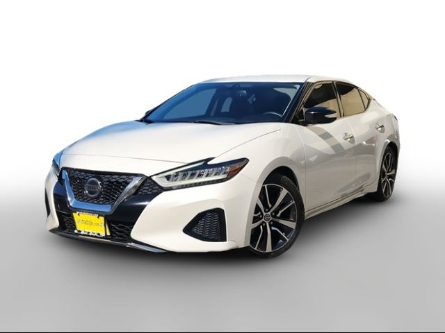 2019 Nissan Maxima SV