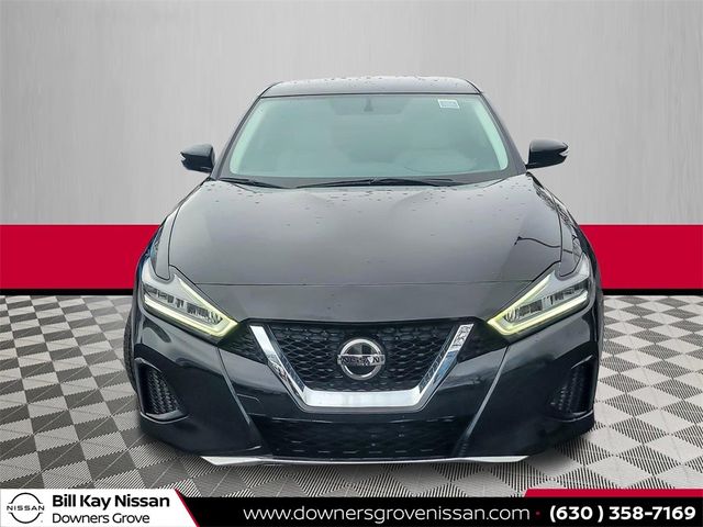 2019 Nissan Maxima SV