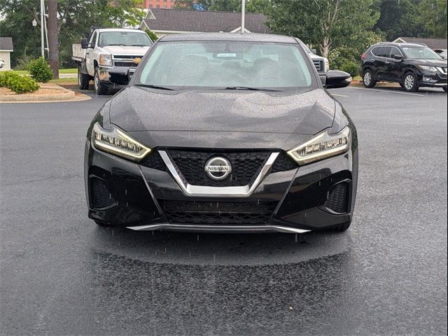 2019 Nissan Maxima SV