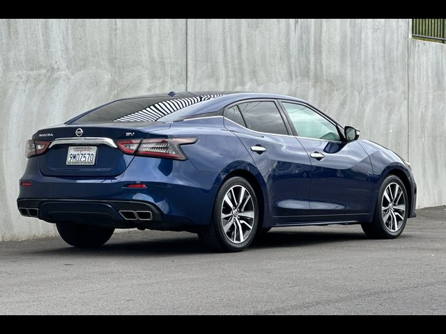 2019 Nissan Maxima SV