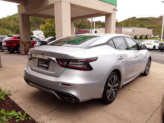 2019 Nissan Maxima SV