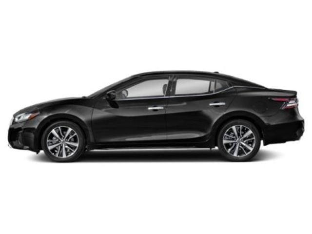 2019 Nissan Maxima SV