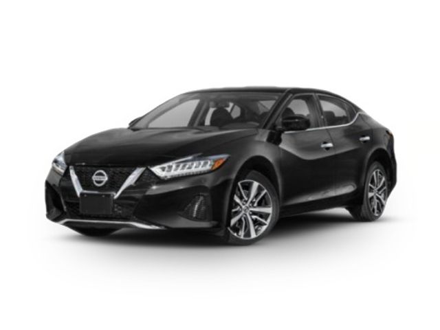 2019 Nissan Maxima SV