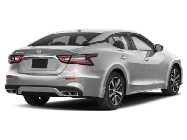 2019 Nissan Maxima SV