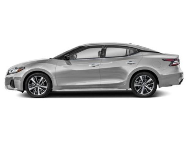 2019 Nissan Maxima SV