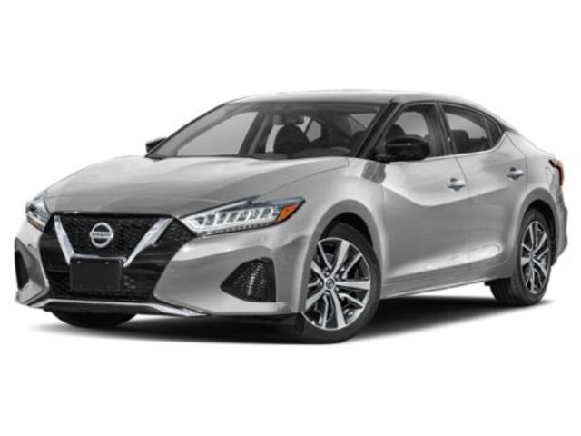 2019 Nissan Maxima SV