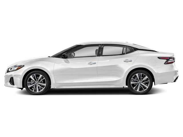 2019 Nissan Maxima SV