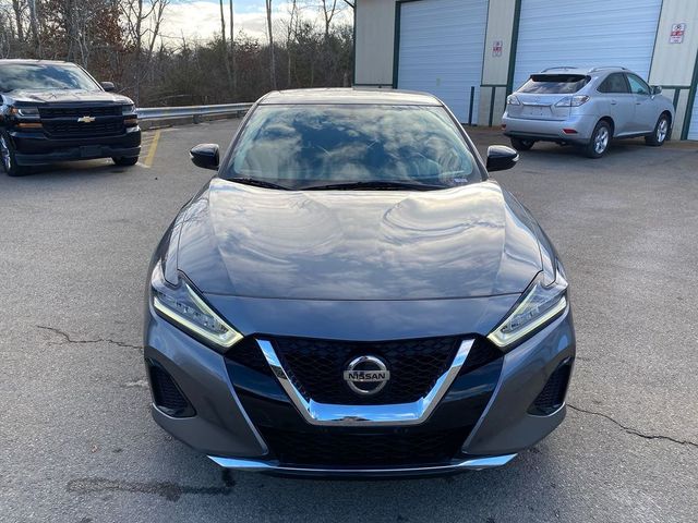 2019 Nissan Maxima SV