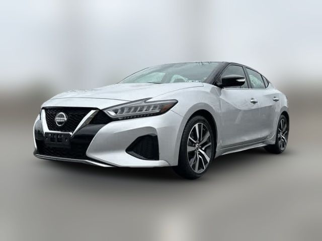 2019 Nissan Maxima SV