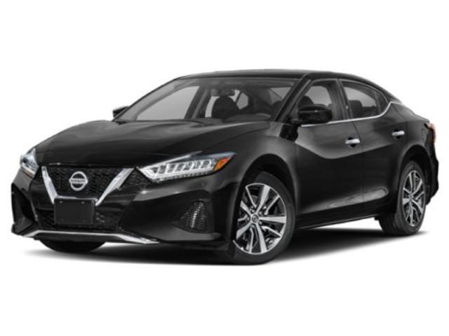 2019 Nissan Maxima SV