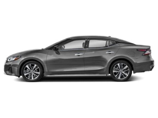 2019 Nissan Maxima SV