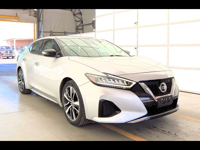 2019 Nissan Maxima SV