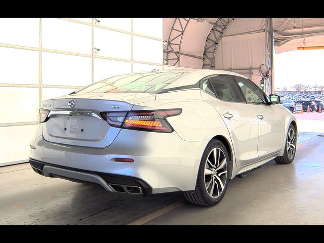 2019 Nissan Maxima SV