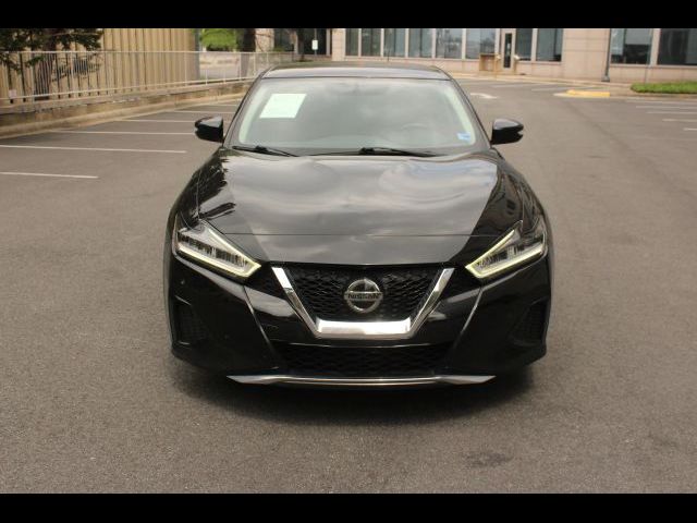 2019 Nissan Maxima SV