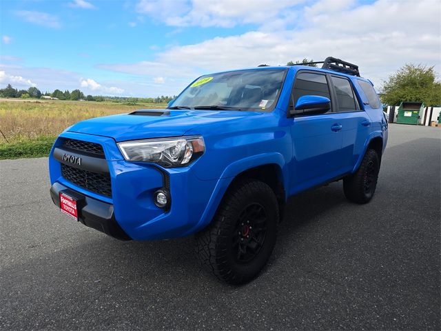 2019 Toyota 4Runner TRD Pro