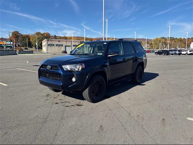 2019 Toyota 4Runner SR5 Premium