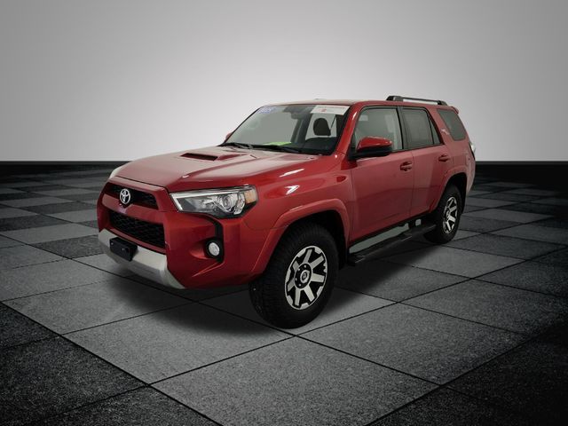 2019 Toyota 4Runner TRD Off Road