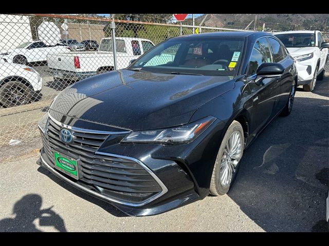 2019 Toyota Avalon 