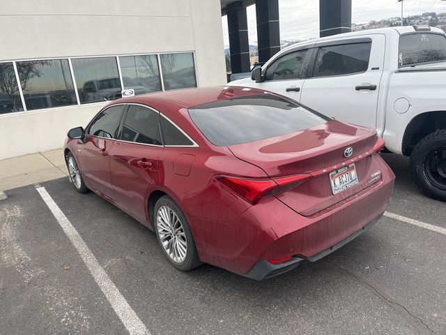 2019 Toyota Avalon 