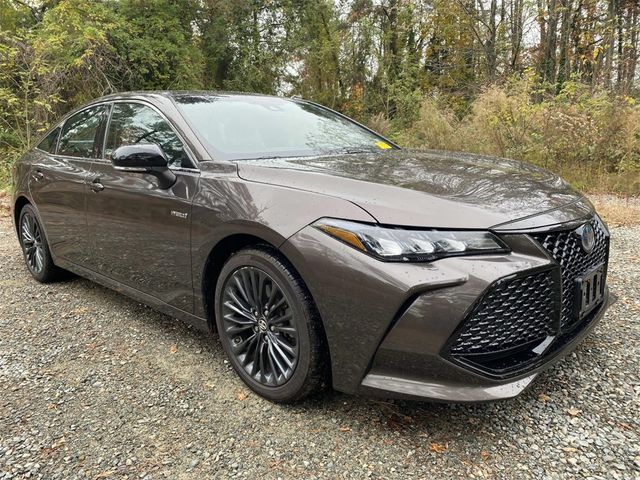 2019 Toyota Avalon Hybrid XSE