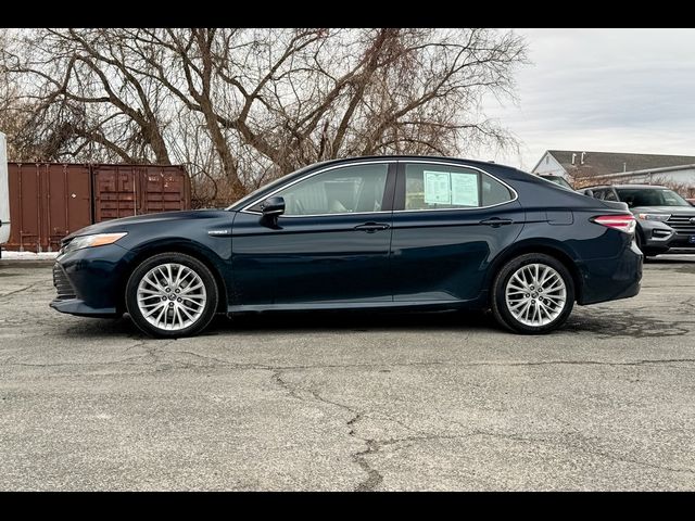 2019 Toyota Camry Hybrid XLE