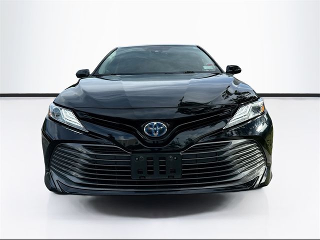 2019 Toyota Camry Hybrid XLE