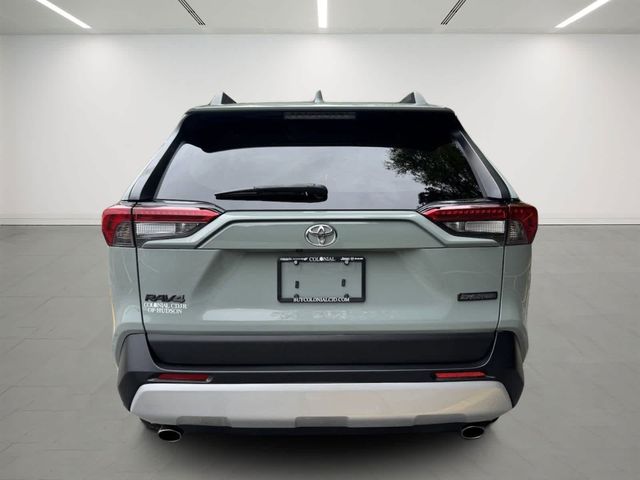 2019 Toyota RAV4 Adventure