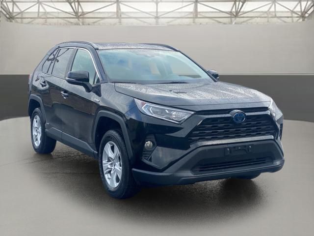 2019 Toyota RAV4 Hybrid XLE