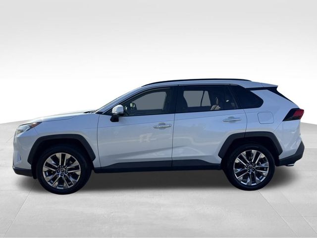 2019 Toyota RAV4 Limited