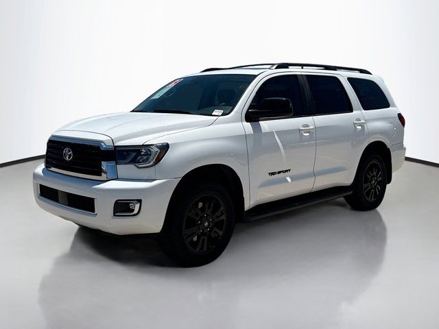 2019 Toyota Sequoia SR5