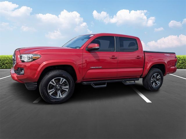 2019 Toyota Tacoma TRD Sport