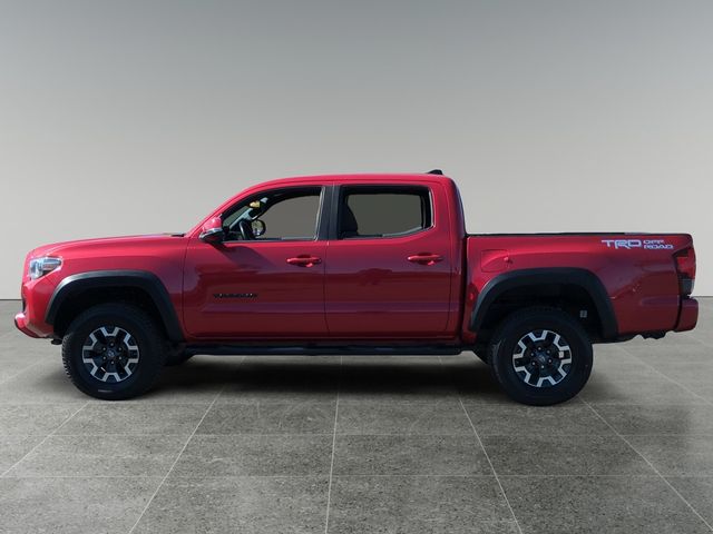 2019 Toyota Tacoma 