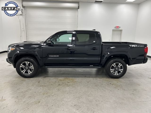 2019 Toyota Tacoma TRD Sport