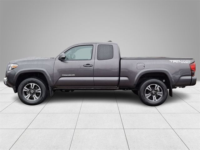 2019 Toyota Tacoma TRD Sport