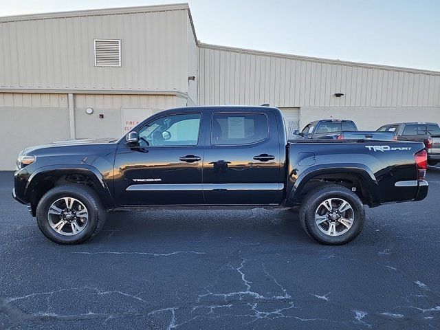 2019 Toyota Tacoma TRD Sport