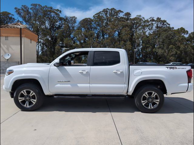 2019 Toyota Tacoma TRD Sport