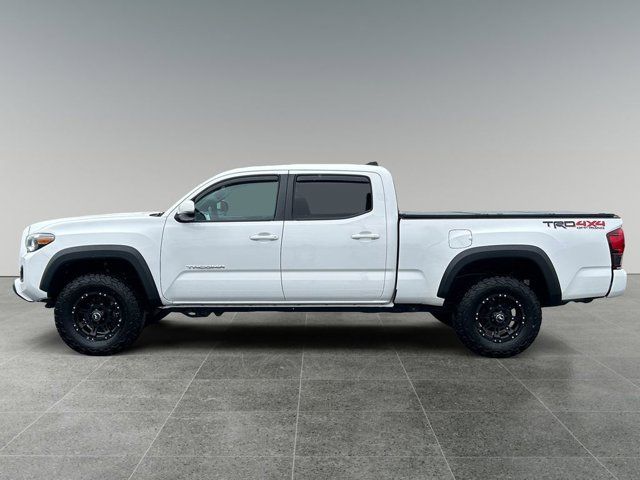 2019 Toyota Tacoma 