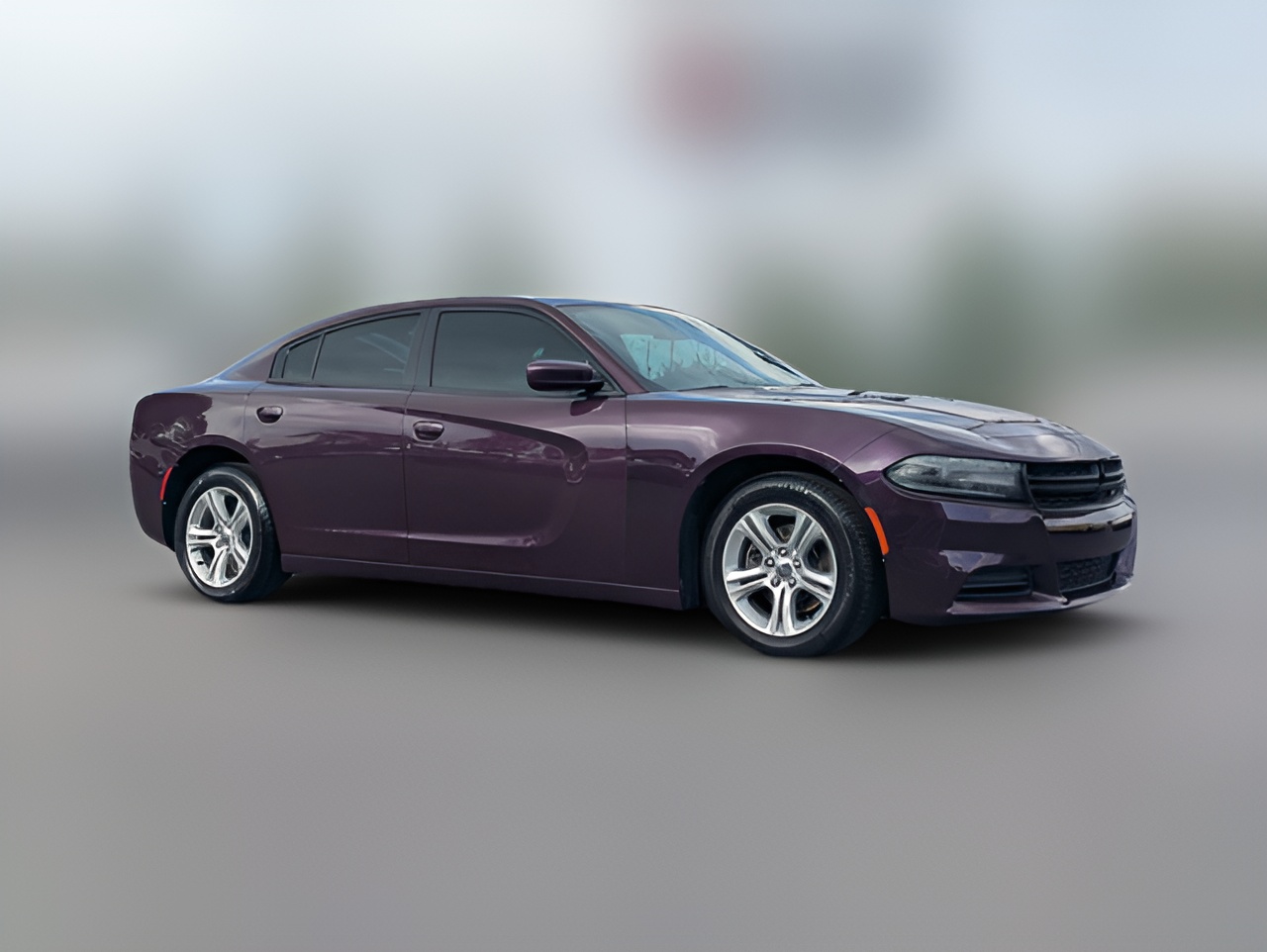 Y1112 gfc GOT8-200 Washed Purple アウトレット Glidden Premium 1 qt. PPG1046-7 Purple Basil Semi-Gloss Exterior