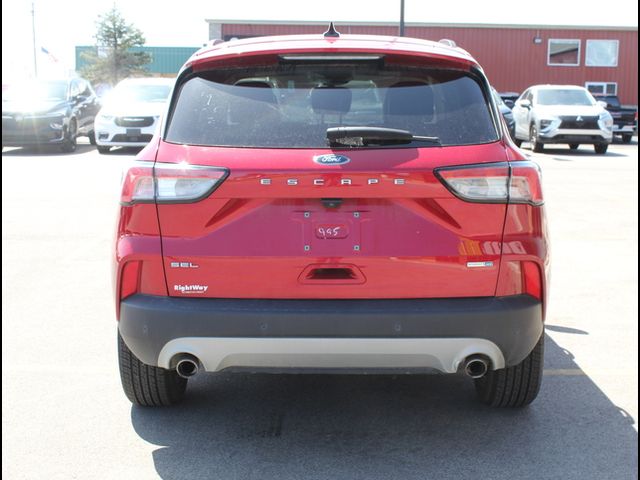 2020 Ford Escape SEL