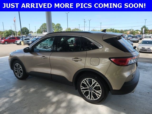 2020 Ford Escape SEL