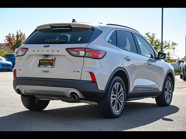 2020 Ford Escape SEL