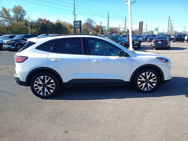 2020 Ford Escape Hybrid SE Sport