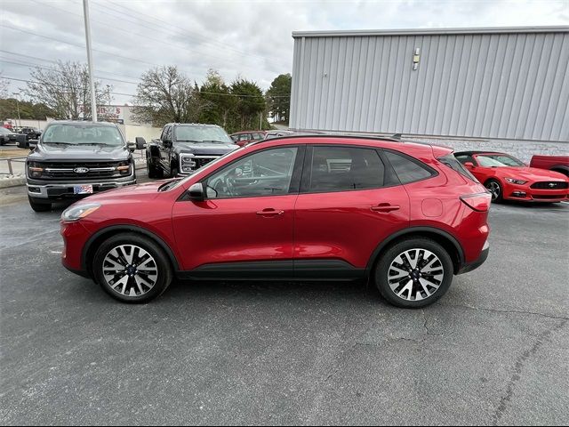 2020 Ford Escape Hybrid SE Sport