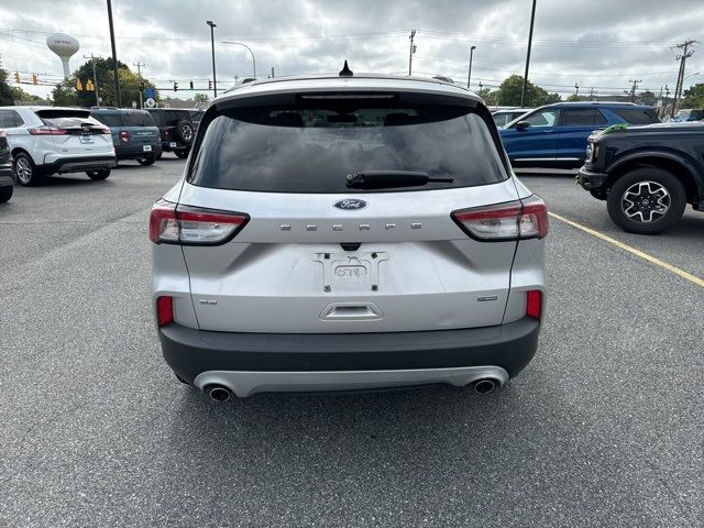 2020 Ford Escape Hybrid SE Sport