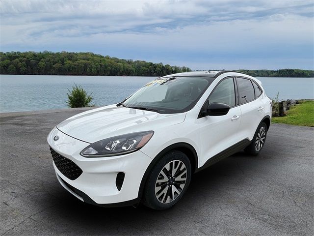 2020 Ford Escape Hybrid SE Sport