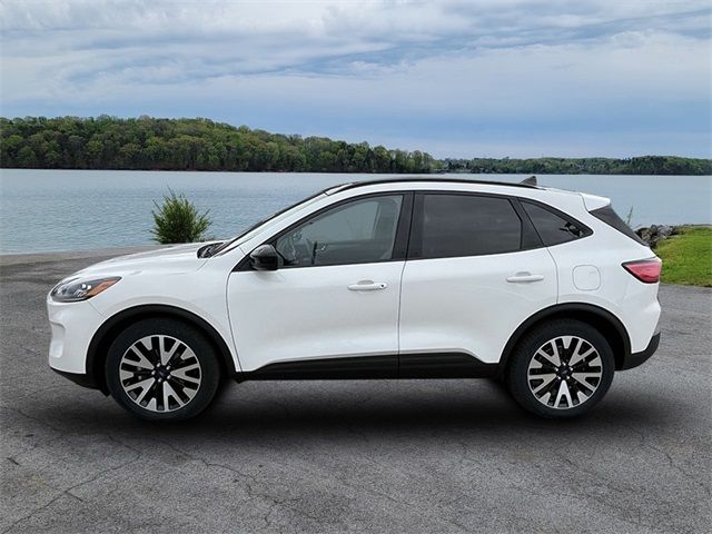 2020 Ford Escape Hybrid SE Sport