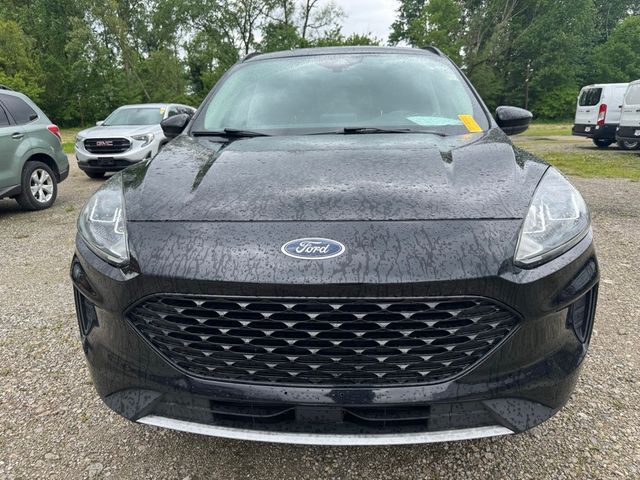 2020 Ford Escape Hybrid SE Sport