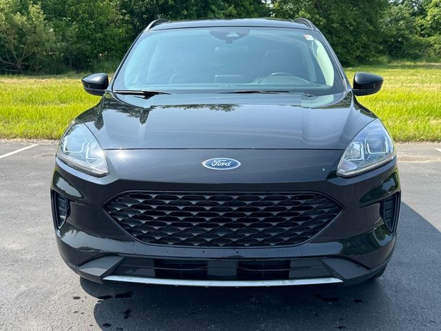 2020 Ford Escape Hybrid SE Sport